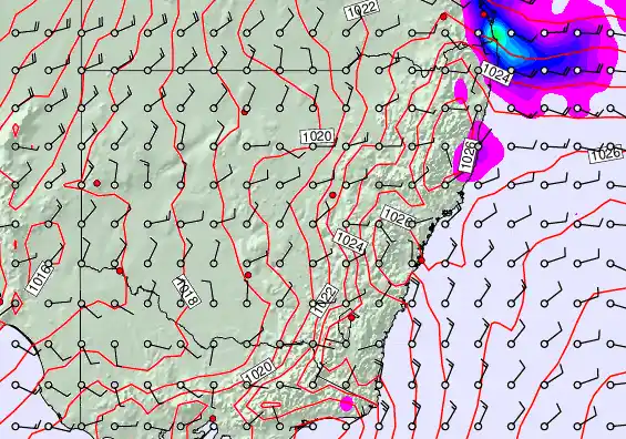 New South Wales forecast chart for Thursday, November 21st, 2024 at 12:00 PM