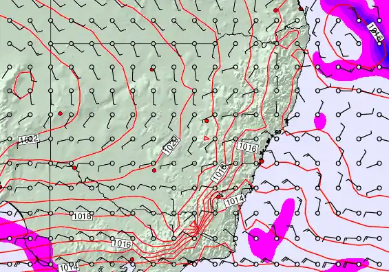 New South Wales forecast chart for Sunday, September 21st, 2025 at 12:00 AM